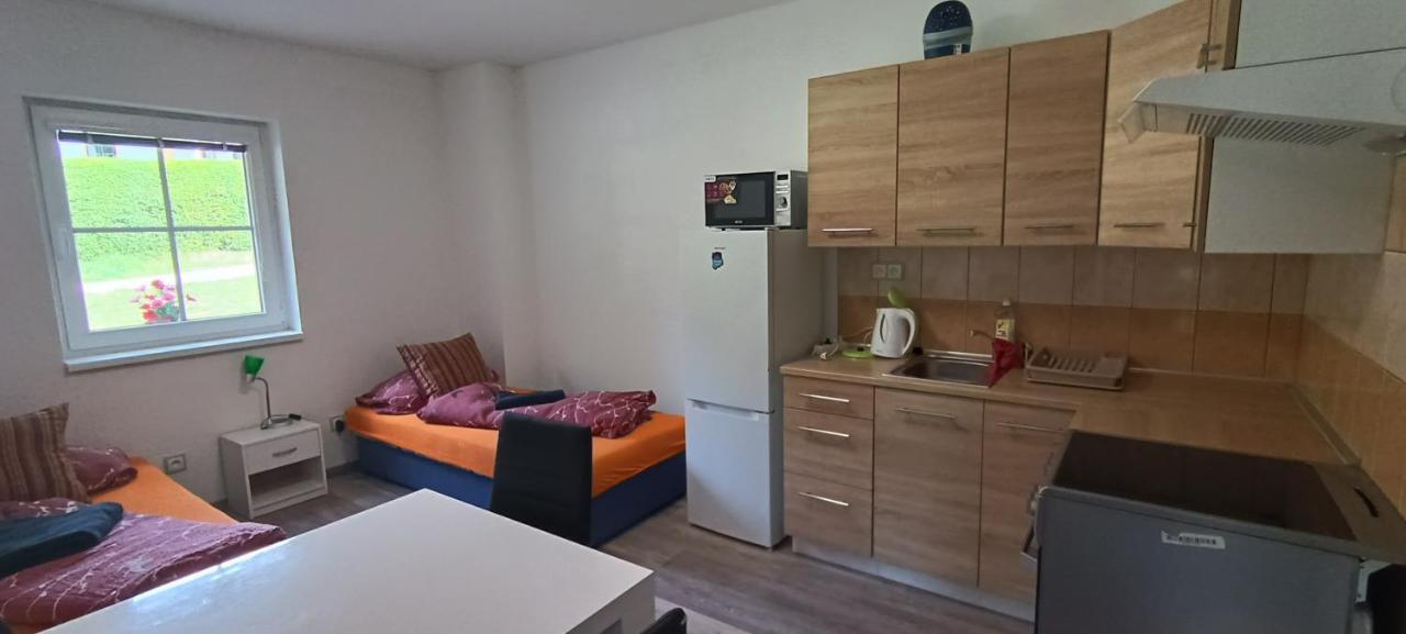 Apartman U Lebedu Apartment Стражни Екстериор снимка